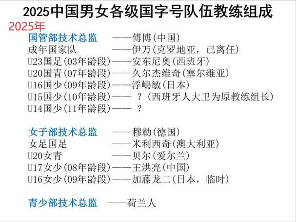 足协改变国字号选帅程序 国足选帅展开前先定技术总监